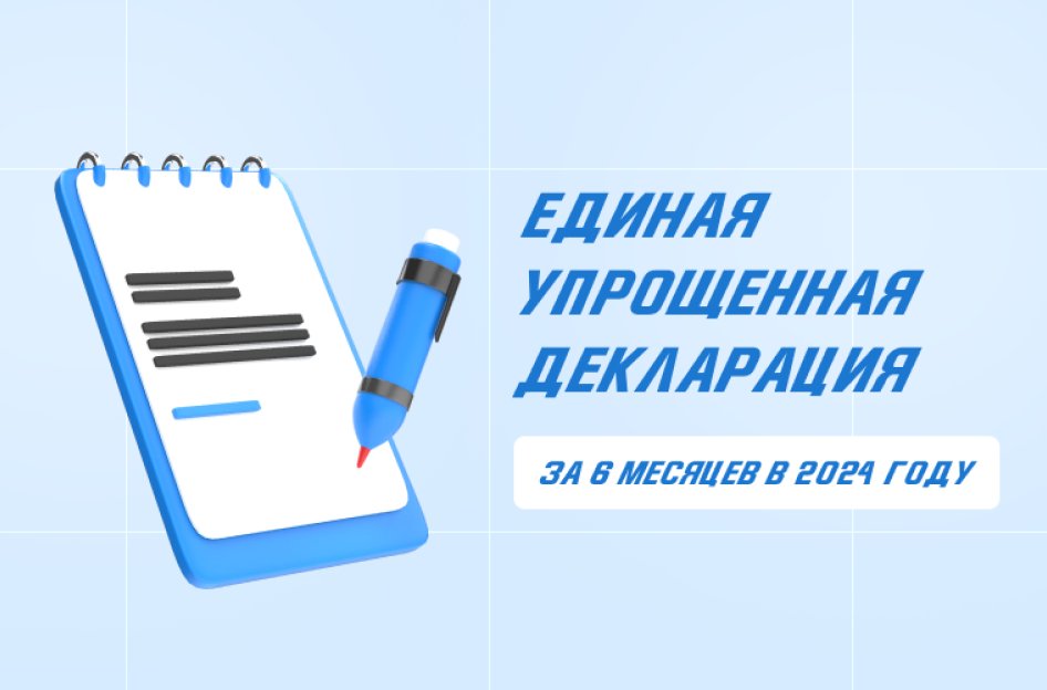 Единая упрощенная декларация за 6 месяцев в 2024 году: как сдавать, образец заполнения