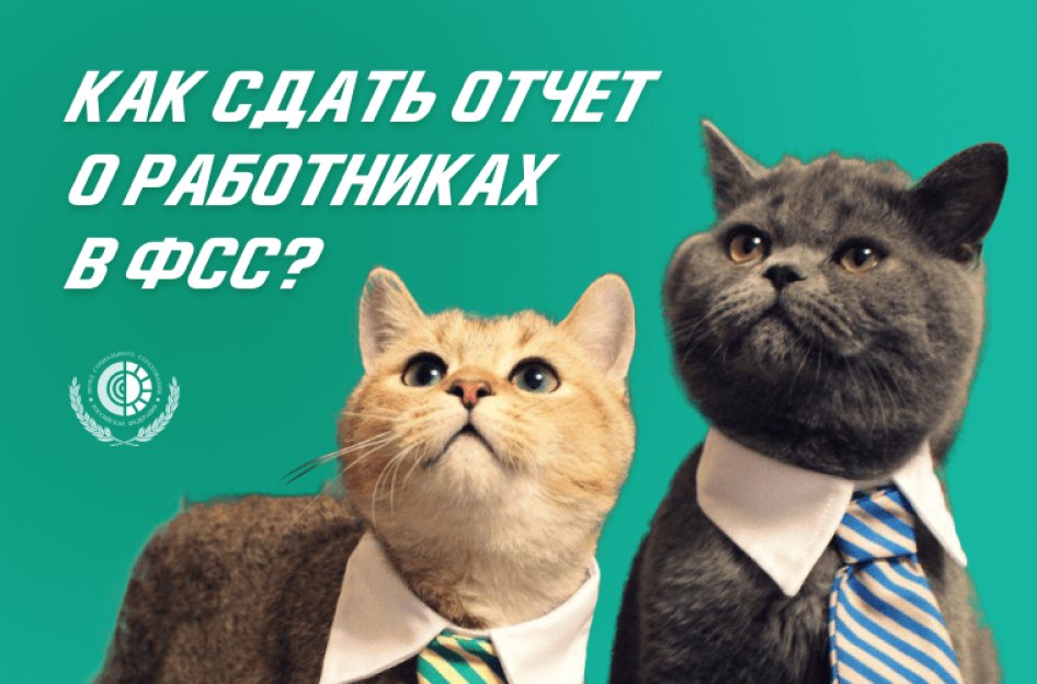 Отчет о работниках в ФСС с 1 января 2022 года: что, когда и как сдавать