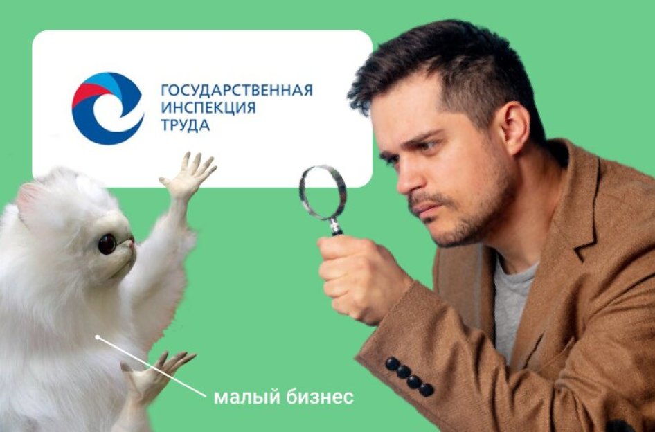 Проверки малого бизнеса Государственной инспекцией труда в 2021 году