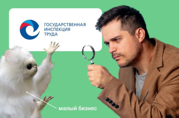 Проверки малого бизнеса Государственной инспекцией труда в 2021 году | Статья Lad