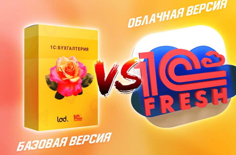 Базовая бухгалтерия или облачная 1С: что выбрать