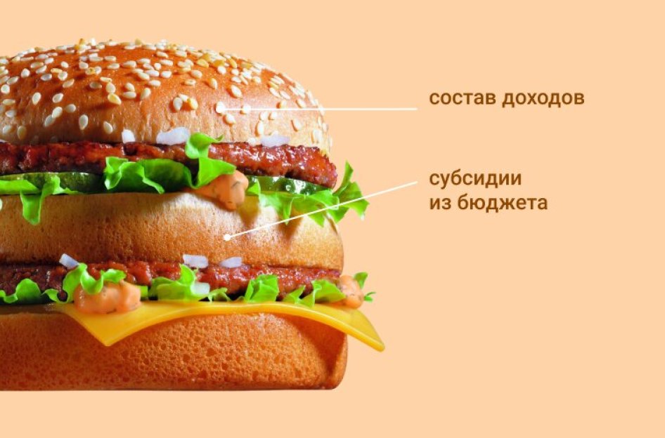 Субсидии из бюджета в составе доходов